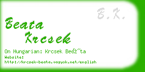 beata krcsek business card